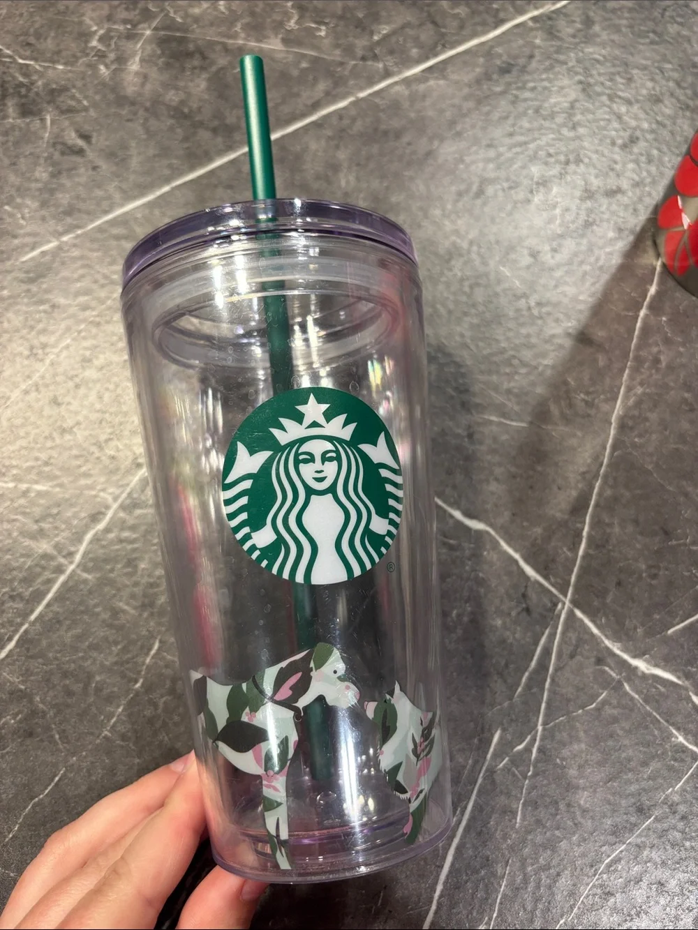 Starbucks dog cup